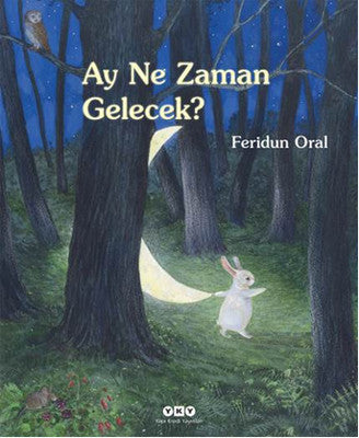 Ay Ne Zaman Gelecek - Feridun Oral - Yapı Kredi Yayınları - Kitap - Bazarys USA Turkish Store